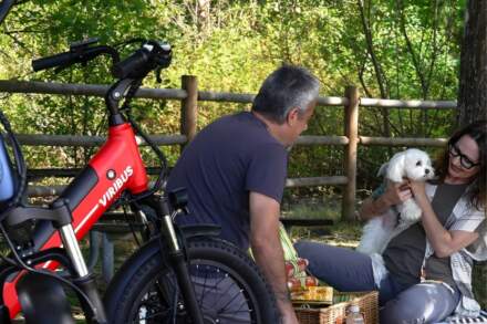 How Much Does a 3 Wheel Electric Bike Weigh—and Why It Matters More Than You Think